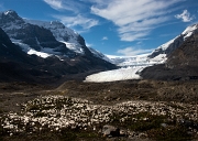 Athabasca Glacier 12-4384a